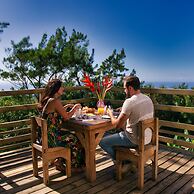 Bubble Dome Village- Glamping