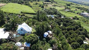 Bubble Dome Village- Glamping