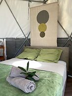 Bubble Dome Village- Glamping