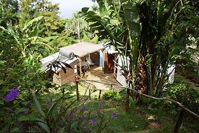 Bubble Dome Village- Glamping