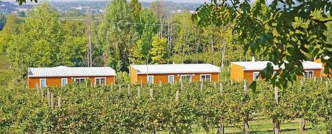 Agriturismo Corte Tonolli