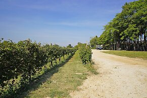 Agriturismo Corte Tonolli
