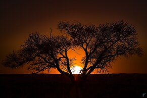 Wolwedans Private Camp