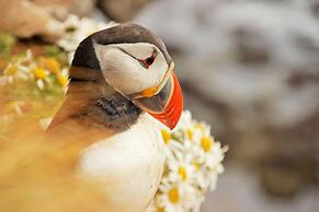 Hótel Fransiskus Stykkishólmi