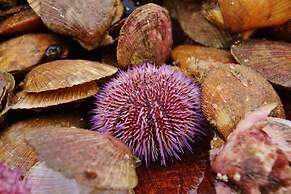 Hótel Fransiskus Stykkishólmi