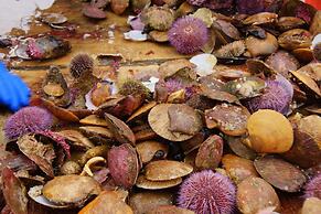 Hótel Fransiskus Stykkishólmi