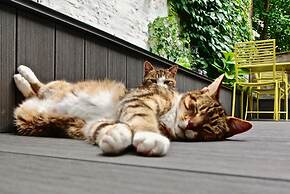 Rock Lobster City Lodge