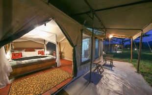 Acacia Tarangire Luxury Camp
