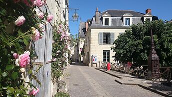 Nature & Chateaux à Chinon