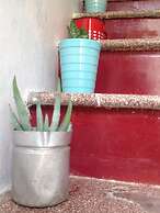 Il Giardino dei Mesagnesi