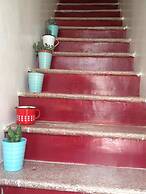 Il Giardino dei Mesagnesi