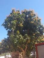 Hostal Los Mangos