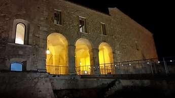 Il Tulipano