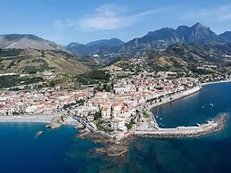 Il Tulipano