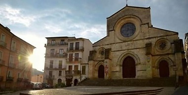Il Tulipano