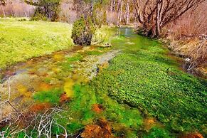 Slow Life Camping Venta del Moro