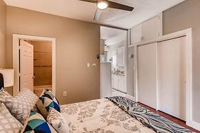 The Blue Rino - A Modern Experience