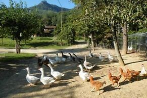 Allotjaments Colomer-Cullell