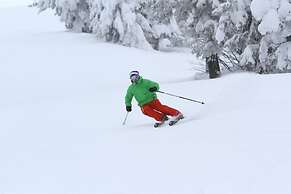 Morning Eagle #208 1 Bedroom Condo