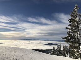 Whitefish Mountain 7 Bedroom Townhouse