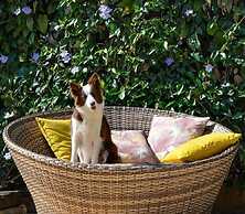 Chalés Santa Catarina