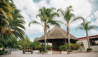 María & Bernardo Casa - Viñedo