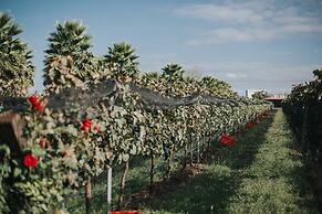 María & Bernardo Casa - Viñedo
