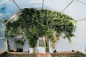 María & Bernardo Casa - Viñedo