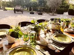 María & Bernardo Casa - Viñedo