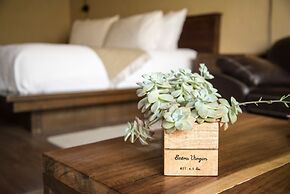 María & Bernardo Casa - Viñedo