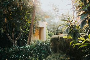 María & Bernardo Casa - Viñedo