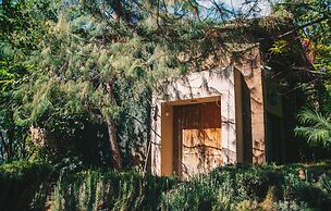 María & Bernardo Casa - Viñedo