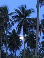 Blue Waters Arugambay