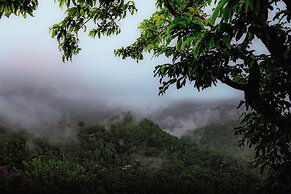 Haze and Kites Resort Munnar