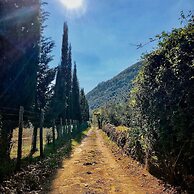 Podere Groppini