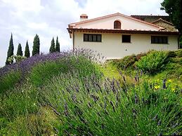 Poggio Corsucci