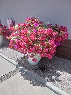 Residence Argine Apartments