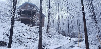 Distiller's Den 2 Bedroom Cabin by RedAwning