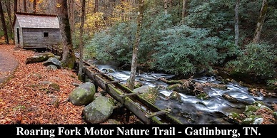 Distiller's Den 2 Bedroom Cabin by RedAwning