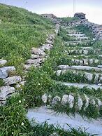 Astra Residential Apartments