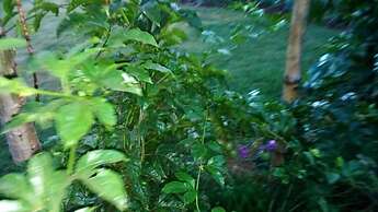 Mt. Kenya Riverside Retreat