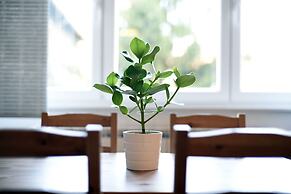 First Choice Centar Apartments