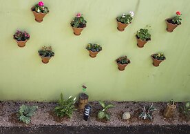 Pousada Caminho dos Plátanos