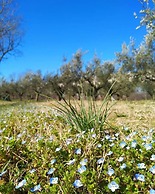 Agriturismo Radovic