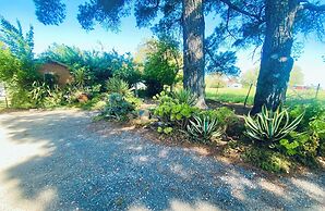 Sutton Spring Art Retreats