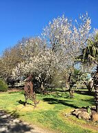 Sutton Spring Art Retreats