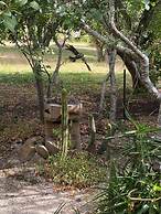 Sutton Spring Art Retreats