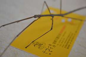 Remember Sea View B&B