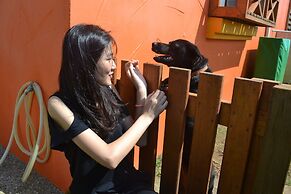 Remember Sea View B&B