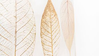 Italianway  - Vincenzo Monti 36